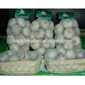 White Garlic/Fresh garlic price China/Natural garlic bulb